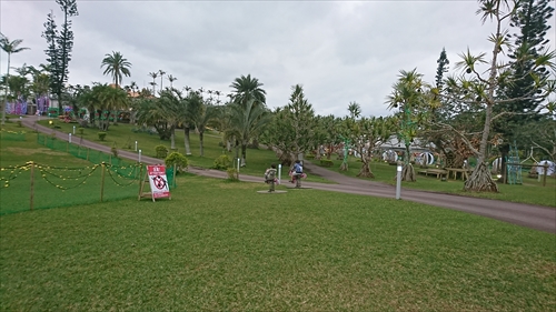 16日・東南植物楽園の釣り堀！